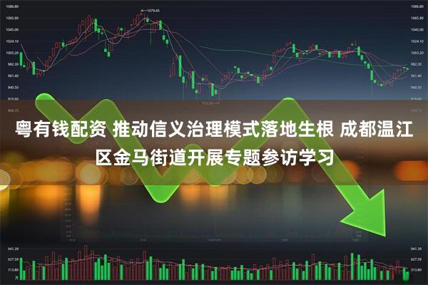 粤有钱配资 推动信义治理模式落地生根 成都温江区金马街道开展专题参访学习