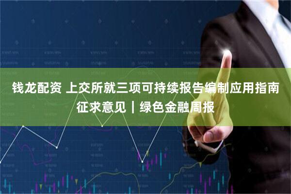 钱龙配资 上交所就三项可持续报告编制应用指南征求意见｜绿色金融周报