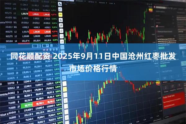 同花顺配资 2025年9月11日中国沧州红枣批发市场价格行情
