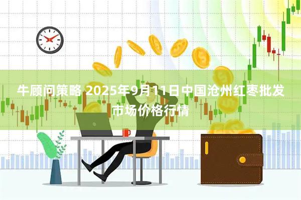牛顾问策略 2025年9月11日中国沧州红枣批发市场价格行情