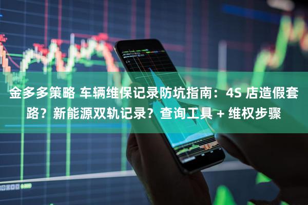 金多多策略 车辆维保记录防坑指南：4S 店造假套路？新能源双轨记录？查询工具 + 维权步骤