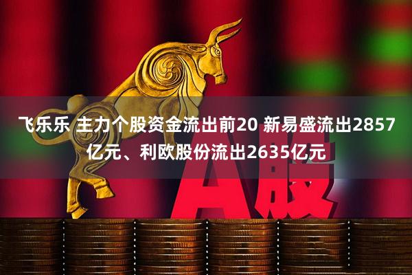 飞乐乐 主力个股资金流出前20 新易盛流出2857亿元、利欧股份流出2635亿元