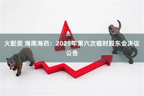 火配资 海南海药：2025年第六次临时股东会决议公告