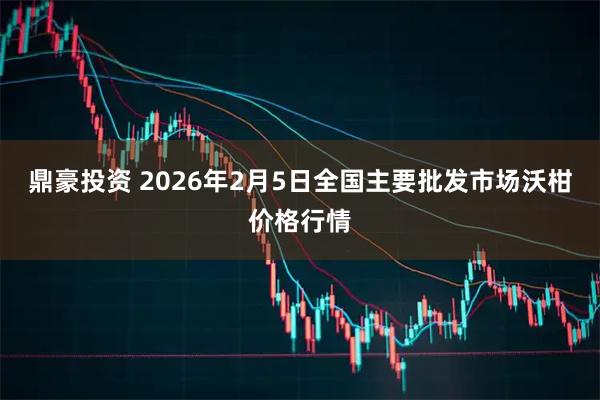 鼎豪投资 2026年2月5日全国主要批发市场沃柑价格行情