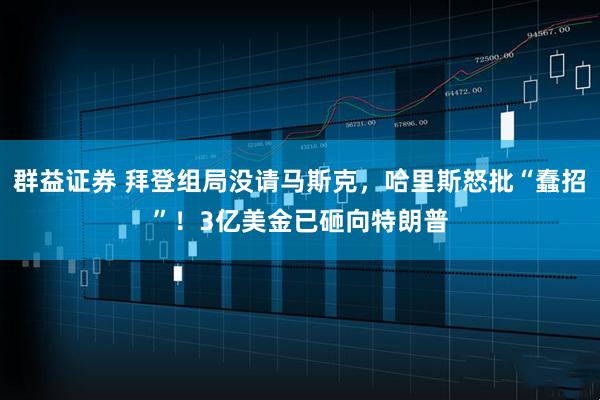 群益证券 拜登组局没请马斯克,哈里斯怒批“蠢招”!3亿美金已砸向特朗普